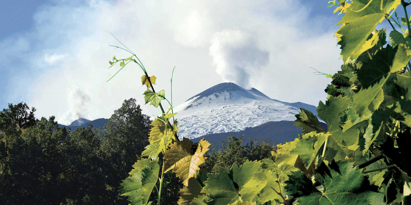 I vini dell'Etna